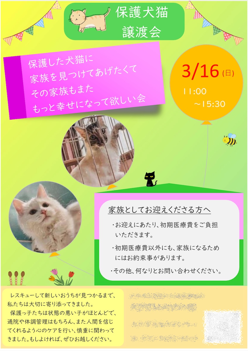 保護犬猫譲渡会の宣伝用チラシ