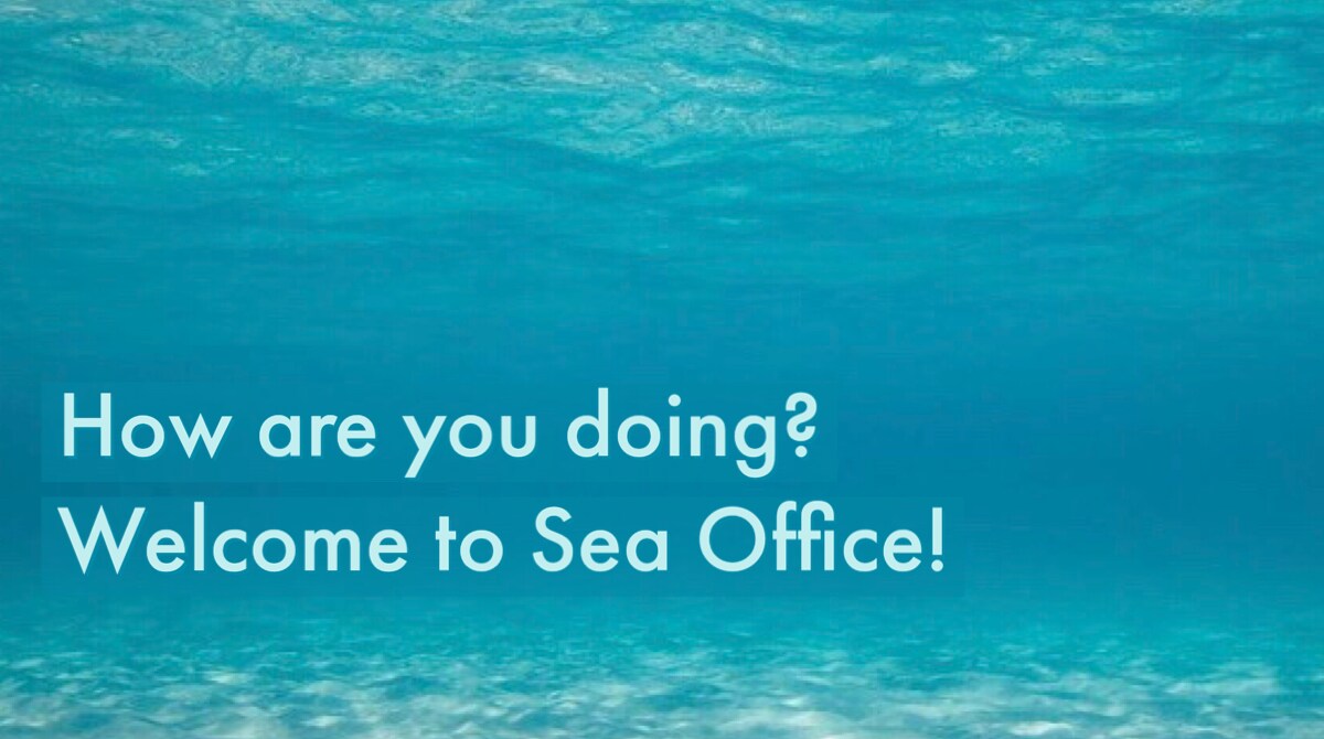Sea Office自社広告
