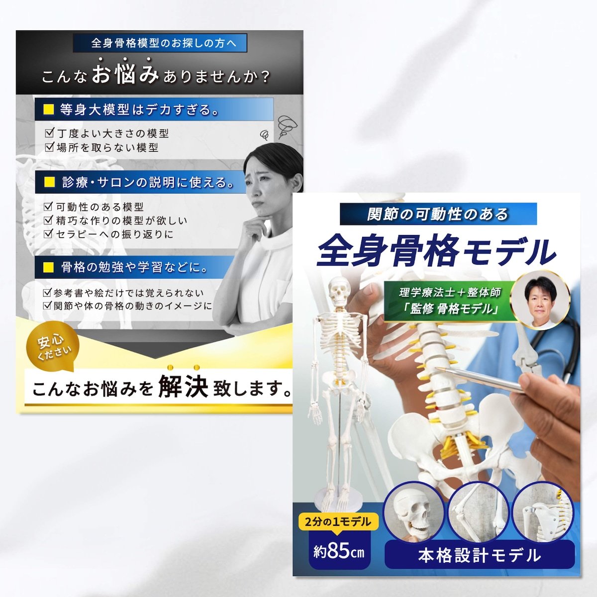 人体模型の商品ページ制作