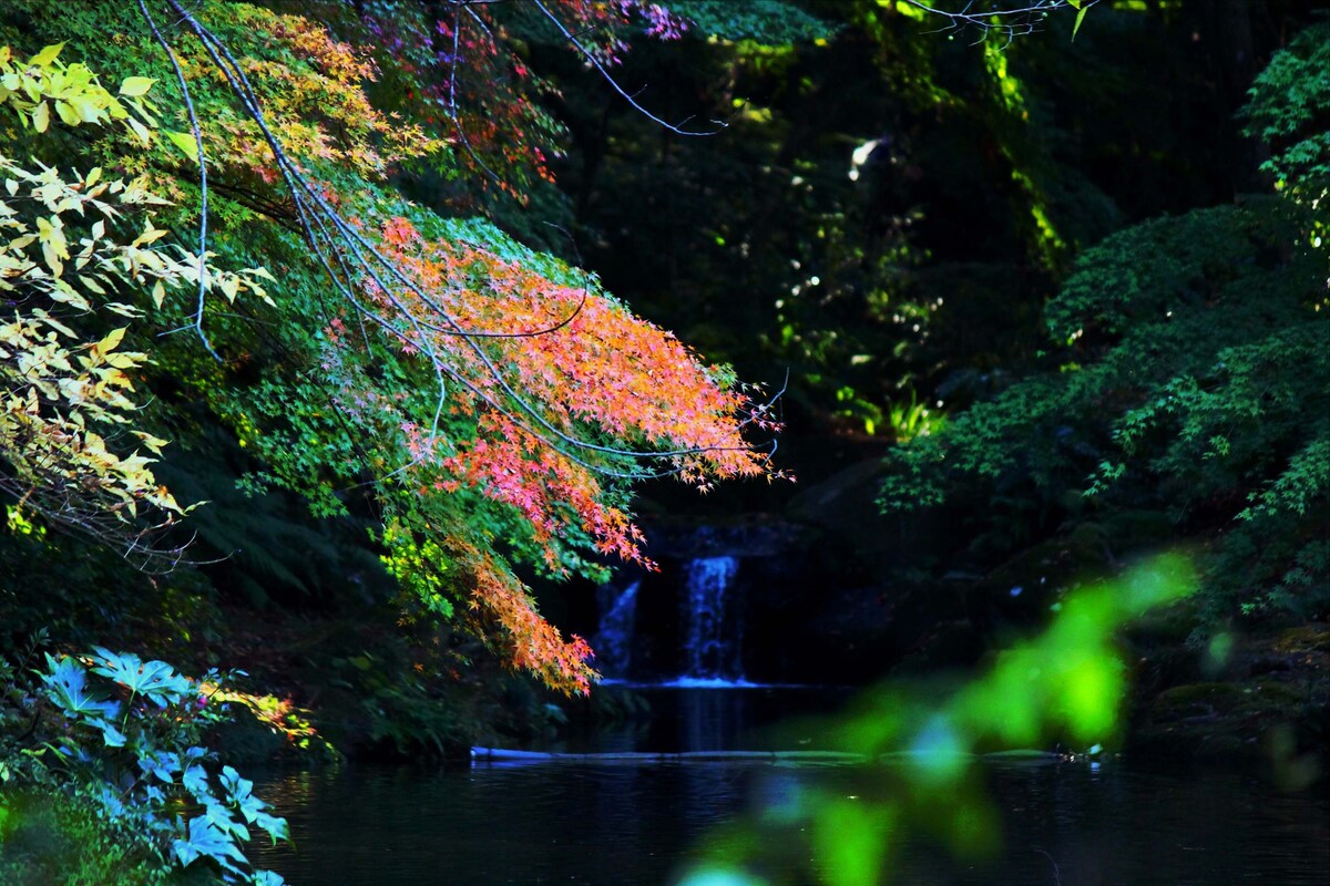 成田山公園