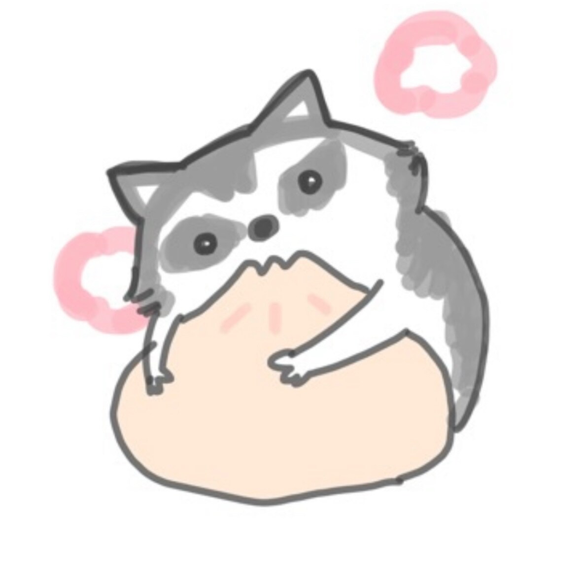 あらいぐま