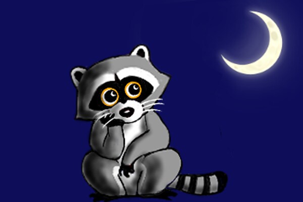 Moonlit raccoon