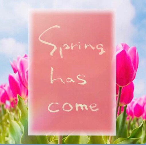 Spring has come