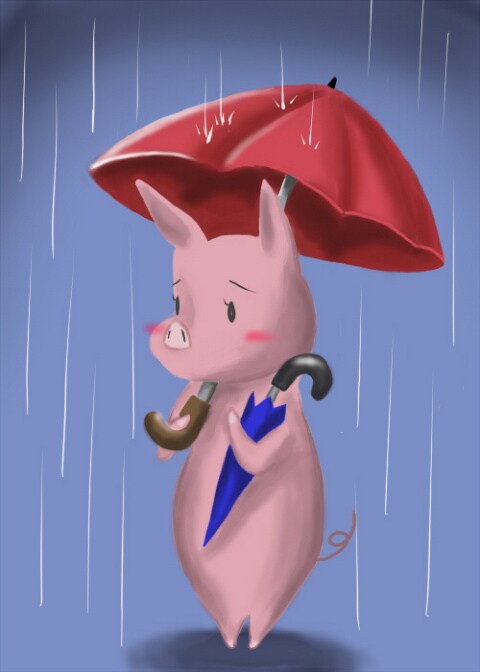 雨の日のブタ