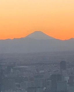 スカイツリーの夕暮れの富士山