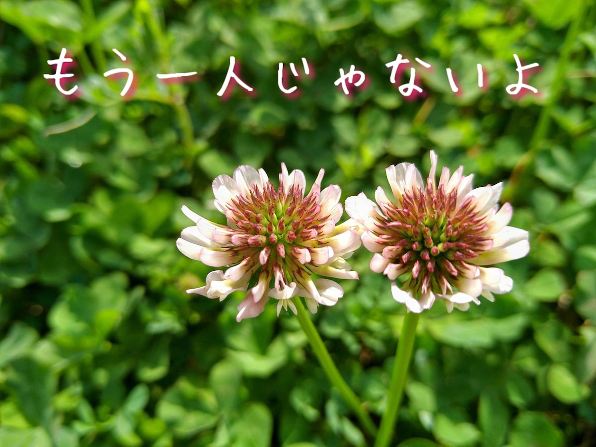 もうひとりじゃないよ