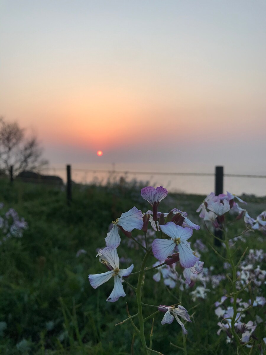 日本海の夕陽を背に
