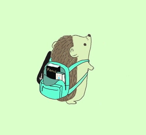 日常ハリネズミ