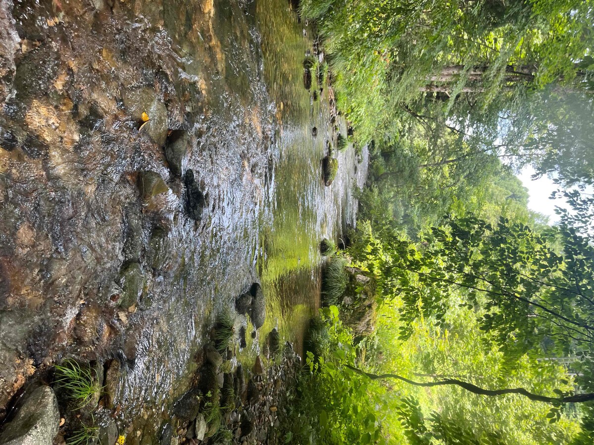 念を込めた、私の撮った写真です。