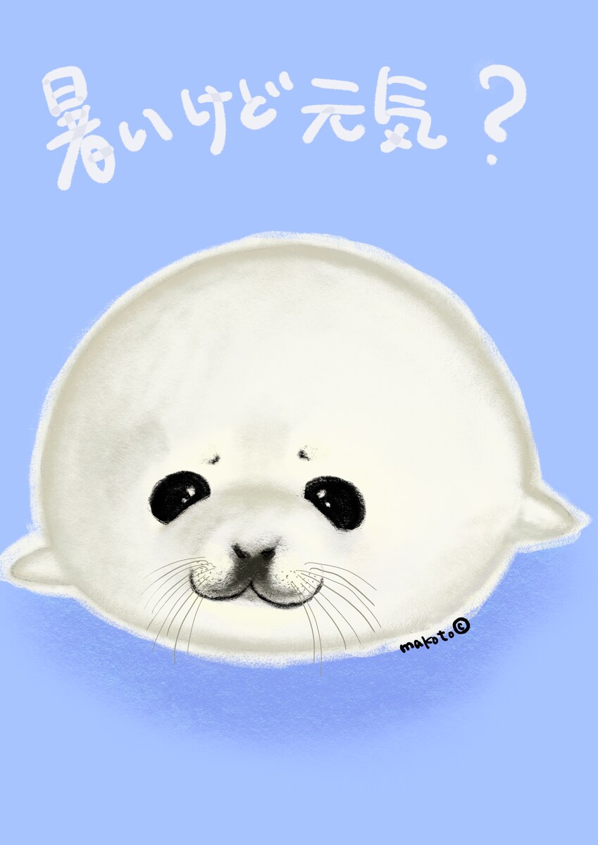 まんまるベビーアザラシ