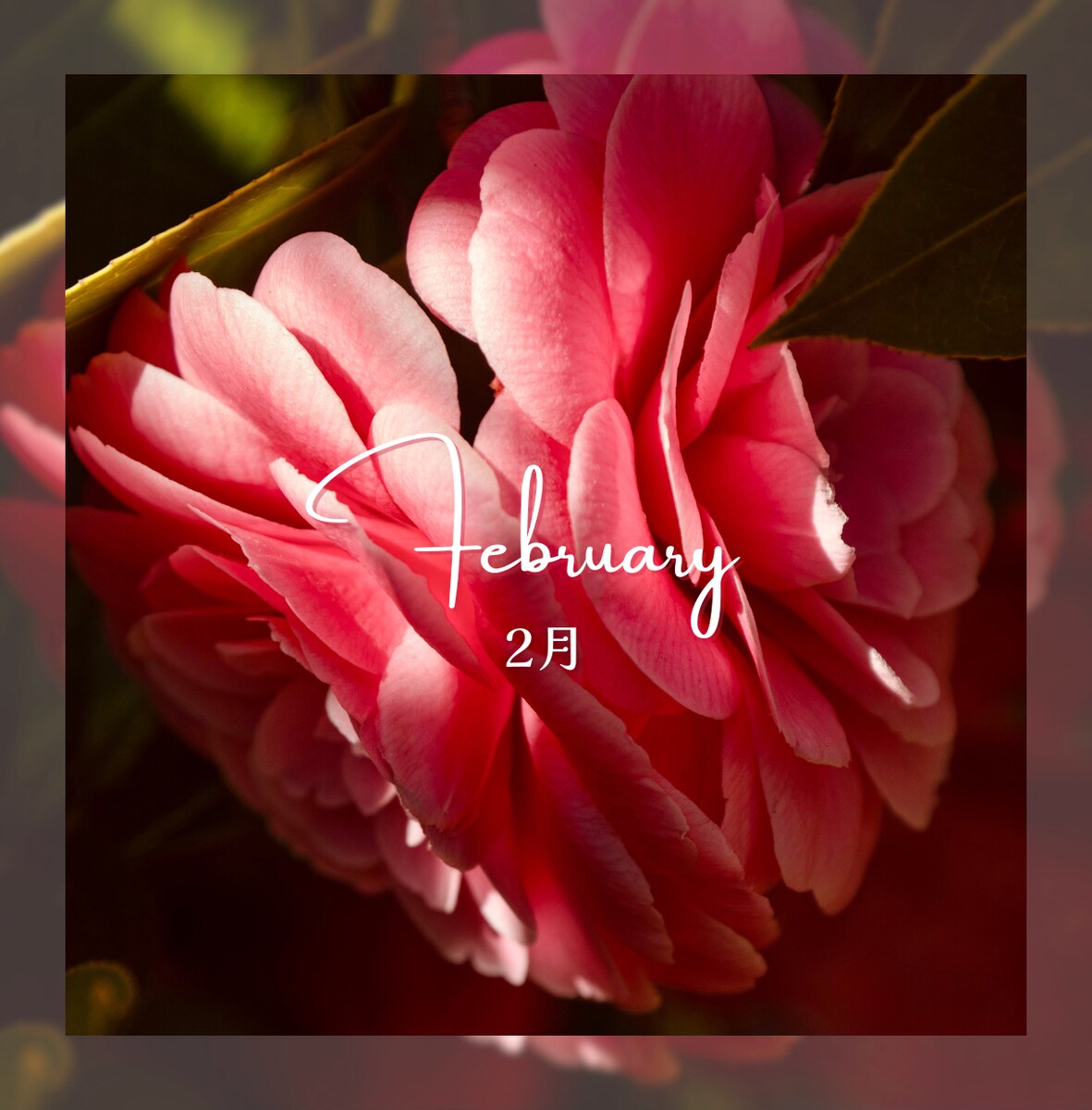 2月