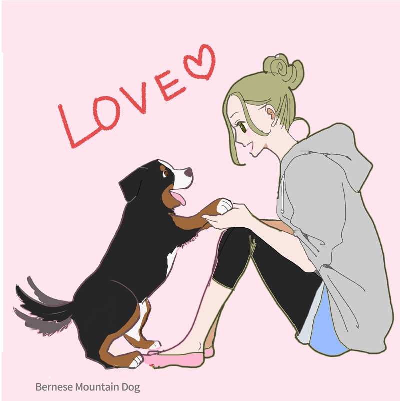 犬と女の子