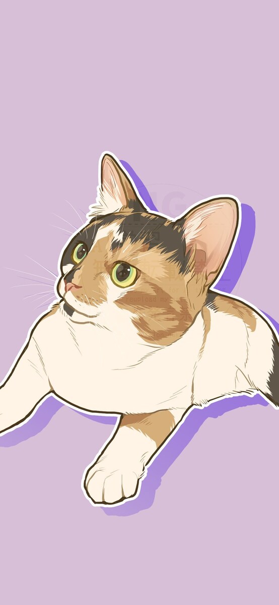ネコ