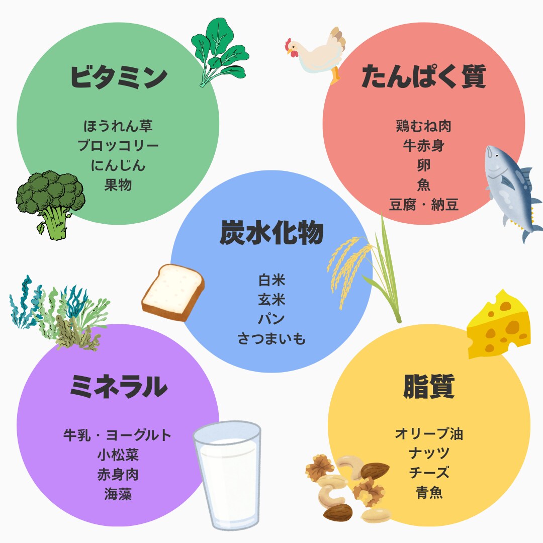 栄養素の図解