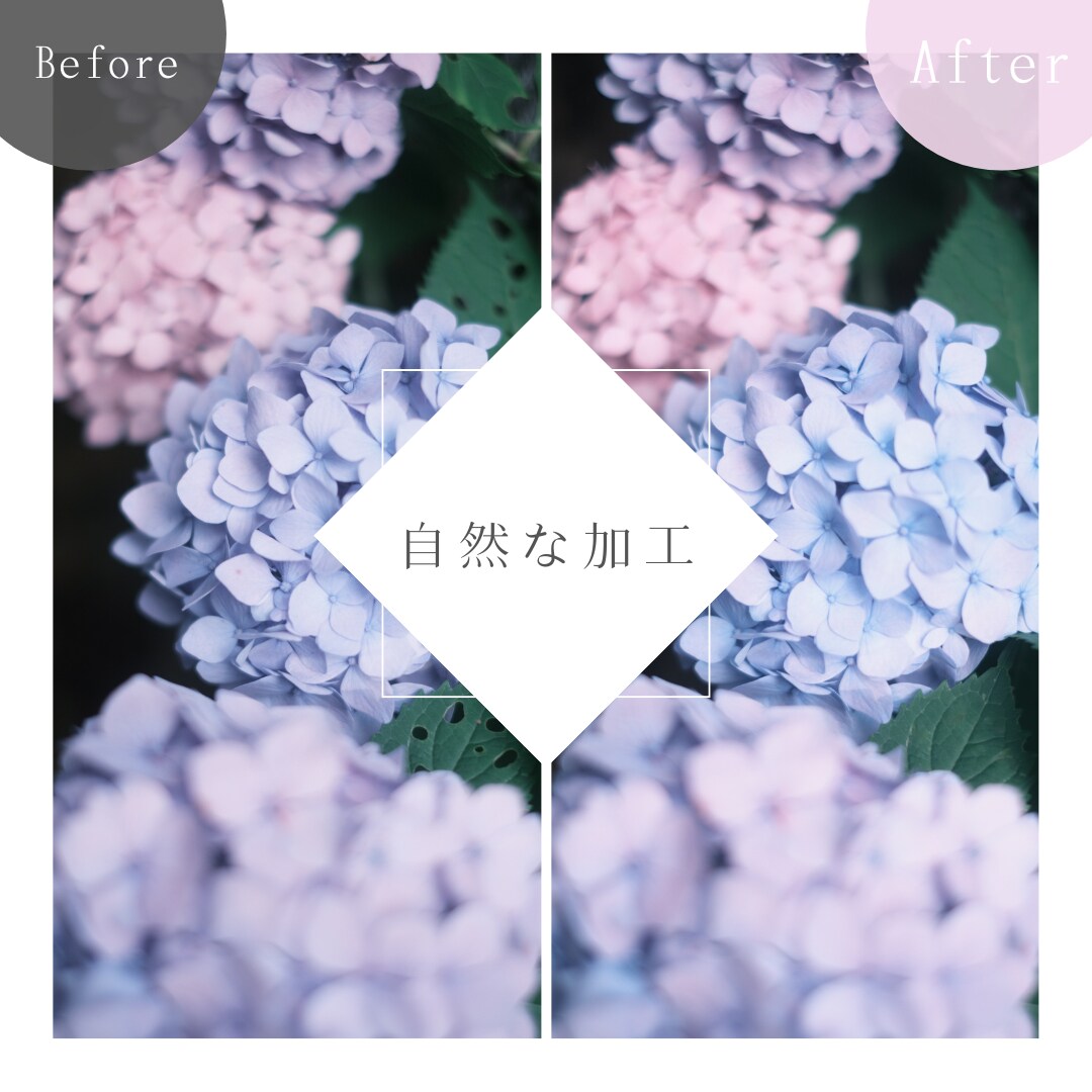 紫陽花の葉の虫食い削除