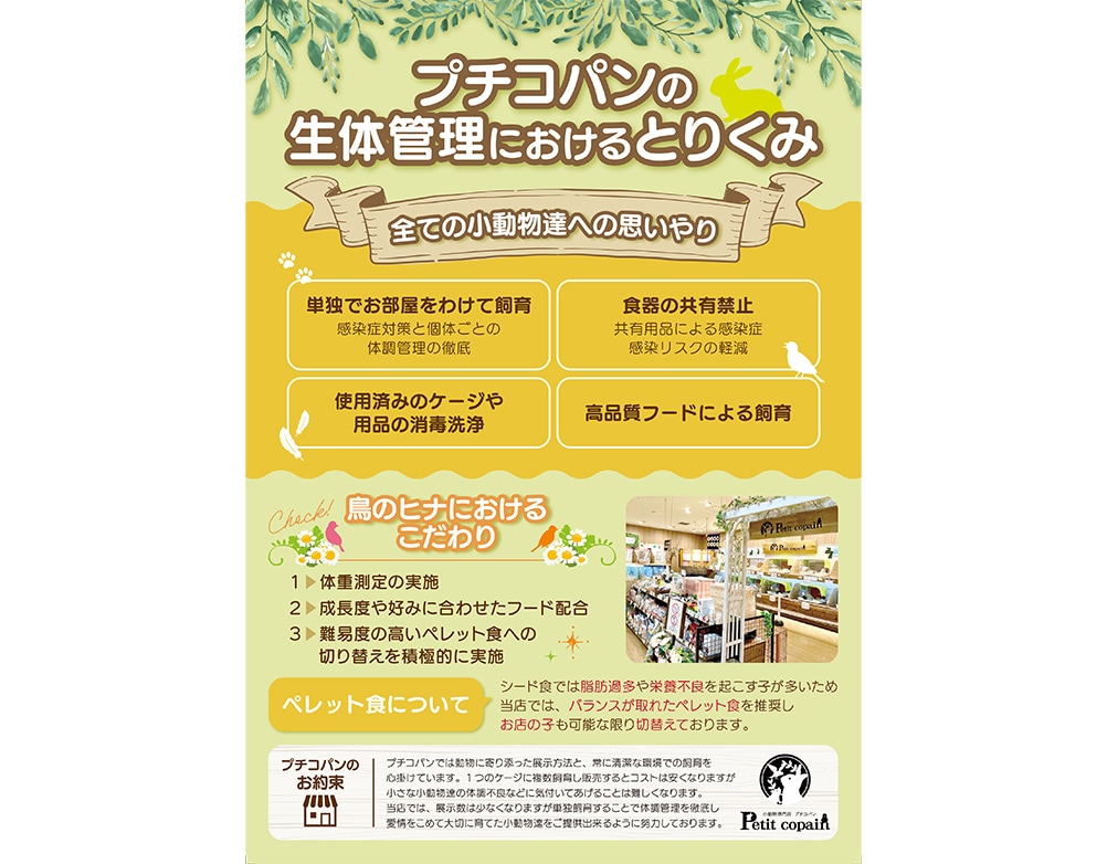 小動物専門店内に掲示するお店のA4チラシ・ポスター制作