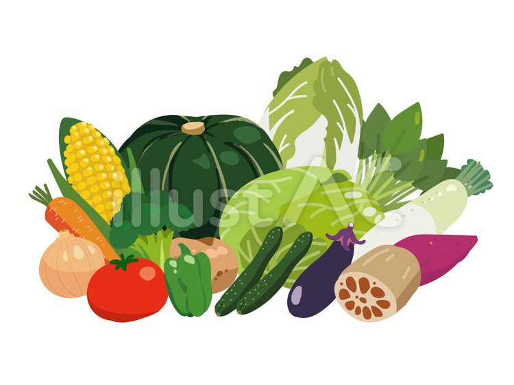 野菜のイラスト