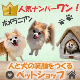 ペットショップ