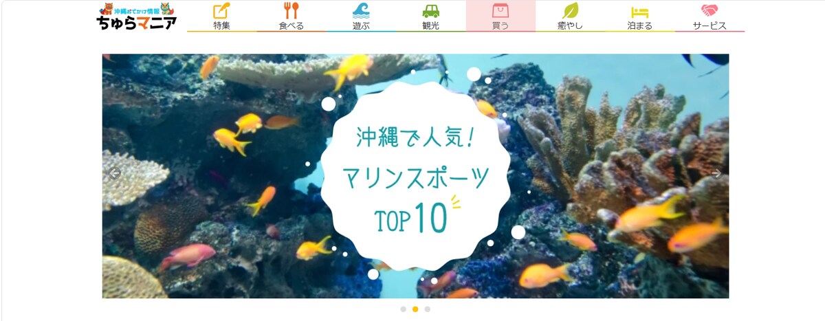メディアサイト制作