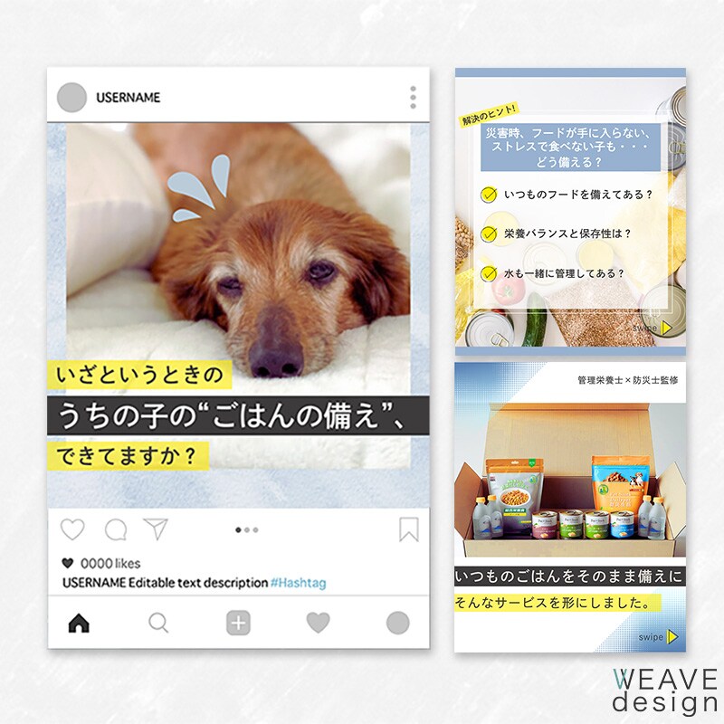 防災食定期便LPへの誘導Instagramバナー【自主制作】