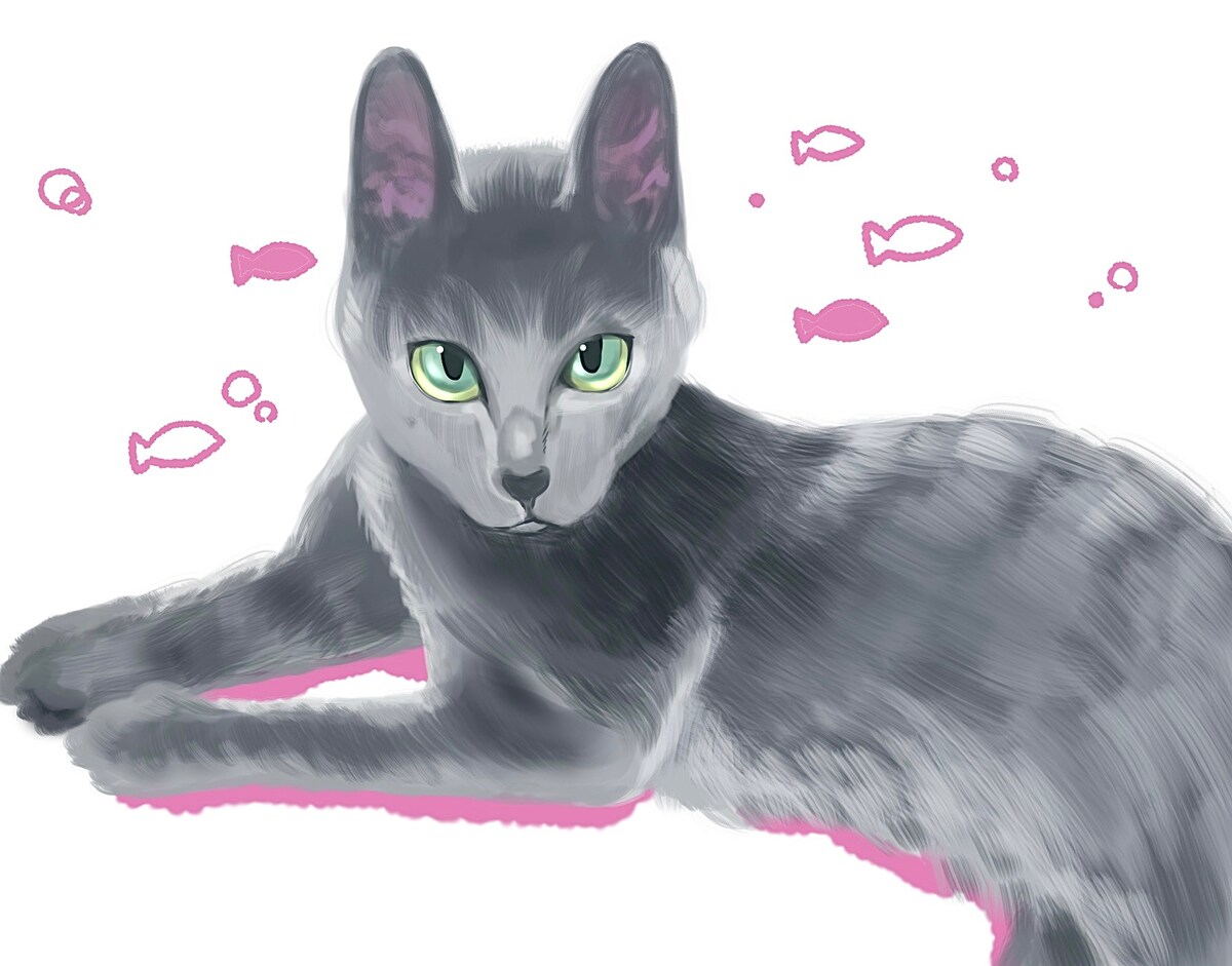 友人の猫ちゃん