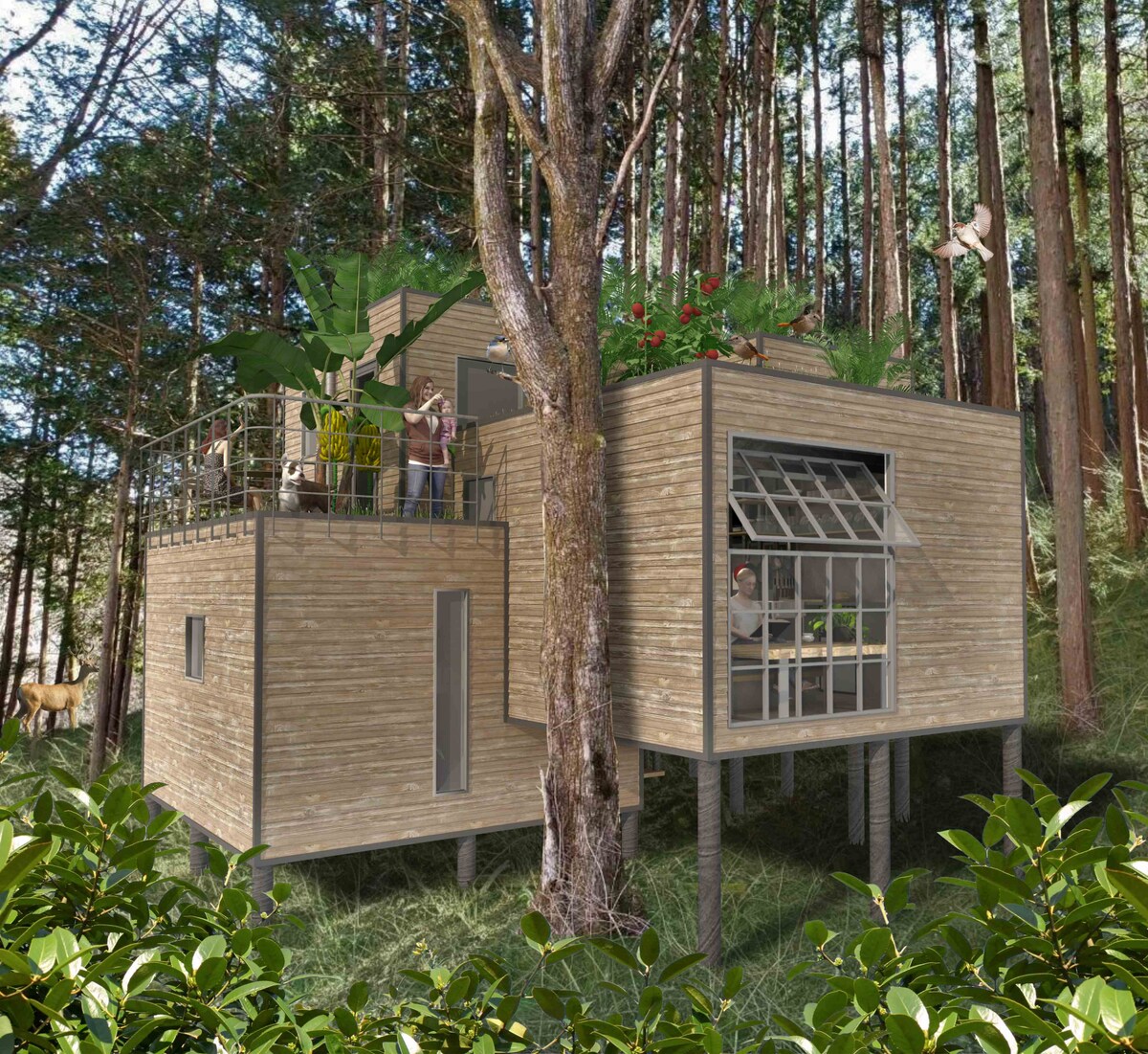 【CASE 注文住宅 02】自然環境に適合する森の中の住まい