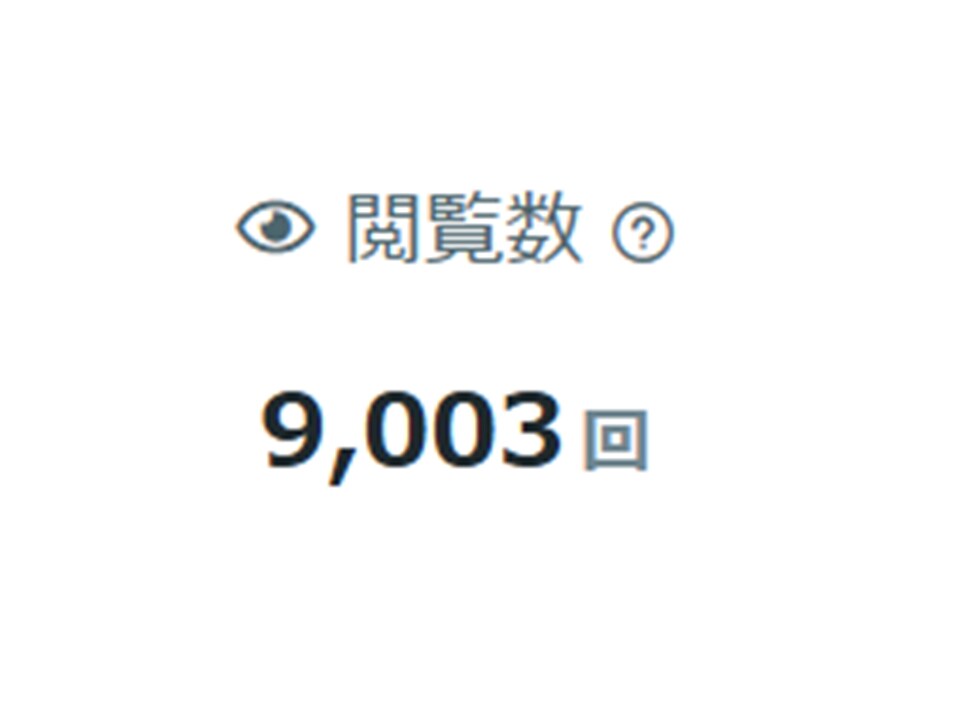 閲覧数