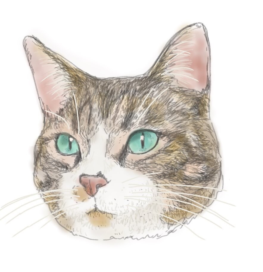 ペットイラスト