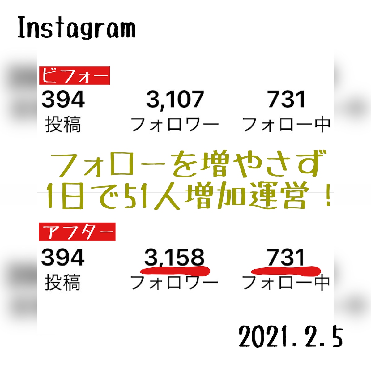 インスタグラム日本人フォロワー増の実績