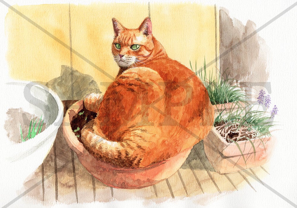 YouTubeチャンネル「茶トラ猫のナナちゃん」肖像画