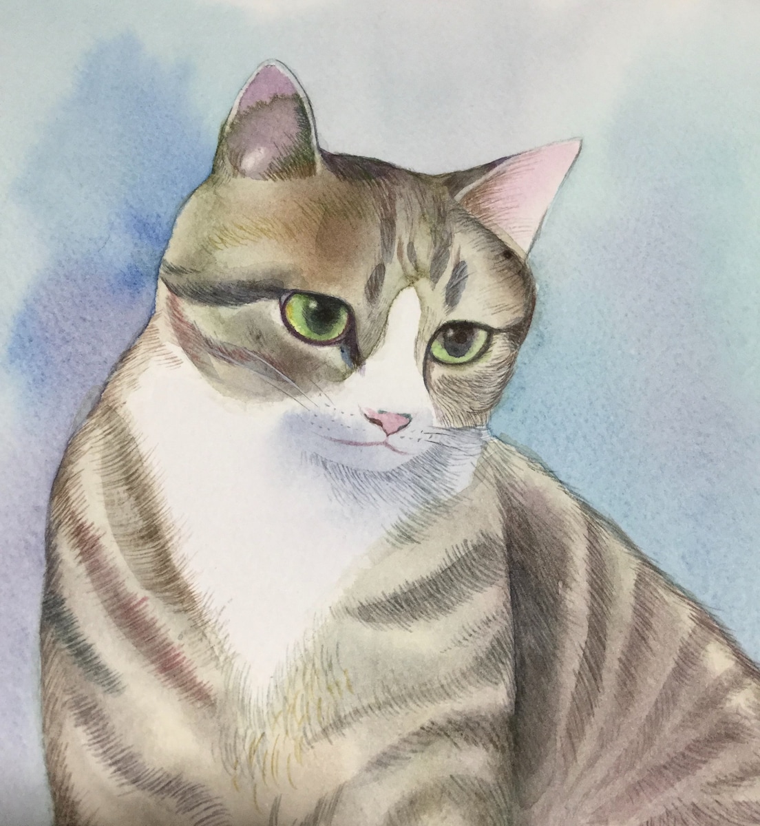 ネコの水彩画