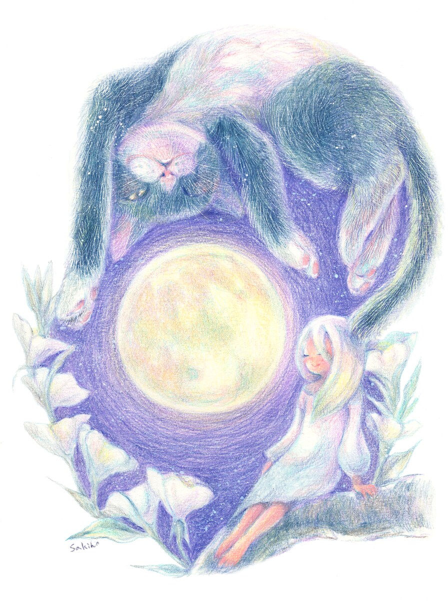 夜想曲