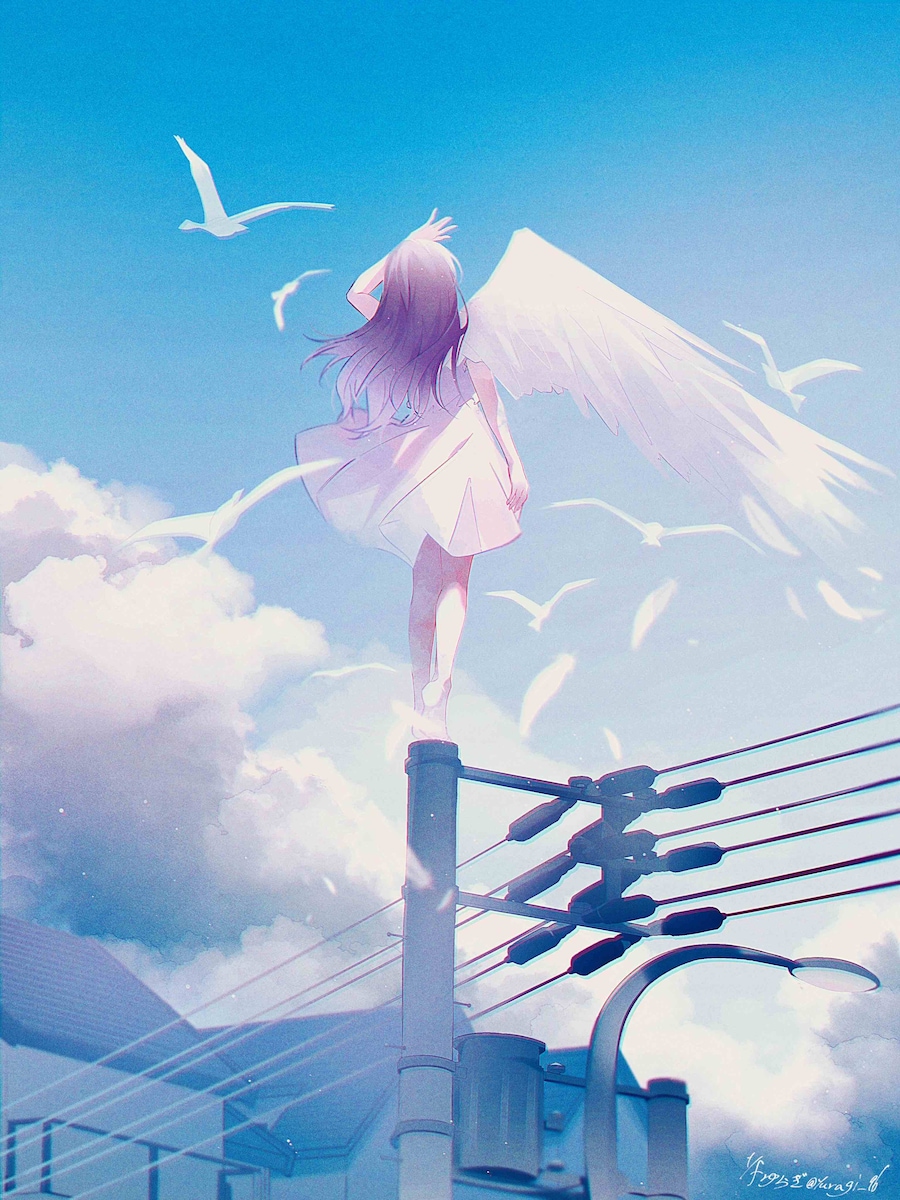 1枚絵