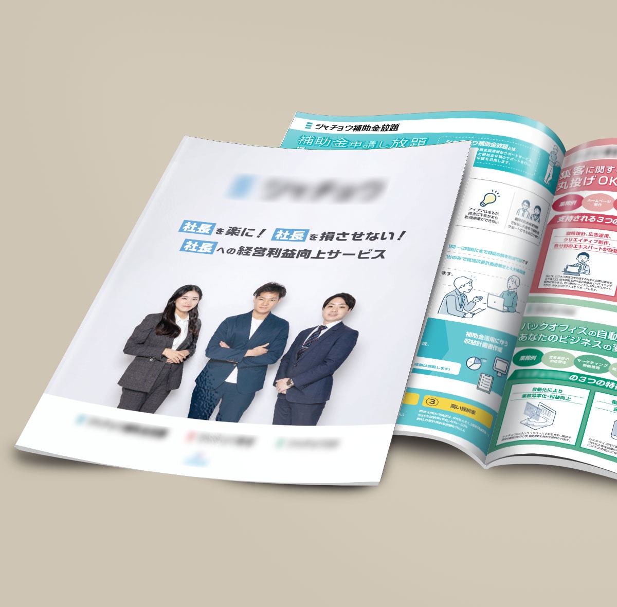 IT系会社の製品パンフレットです