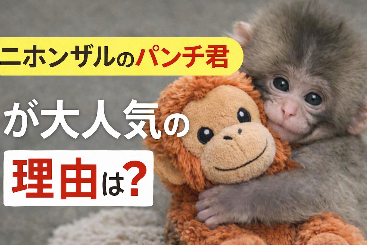 ニホンザルのパンチ君が大人気の理由は？