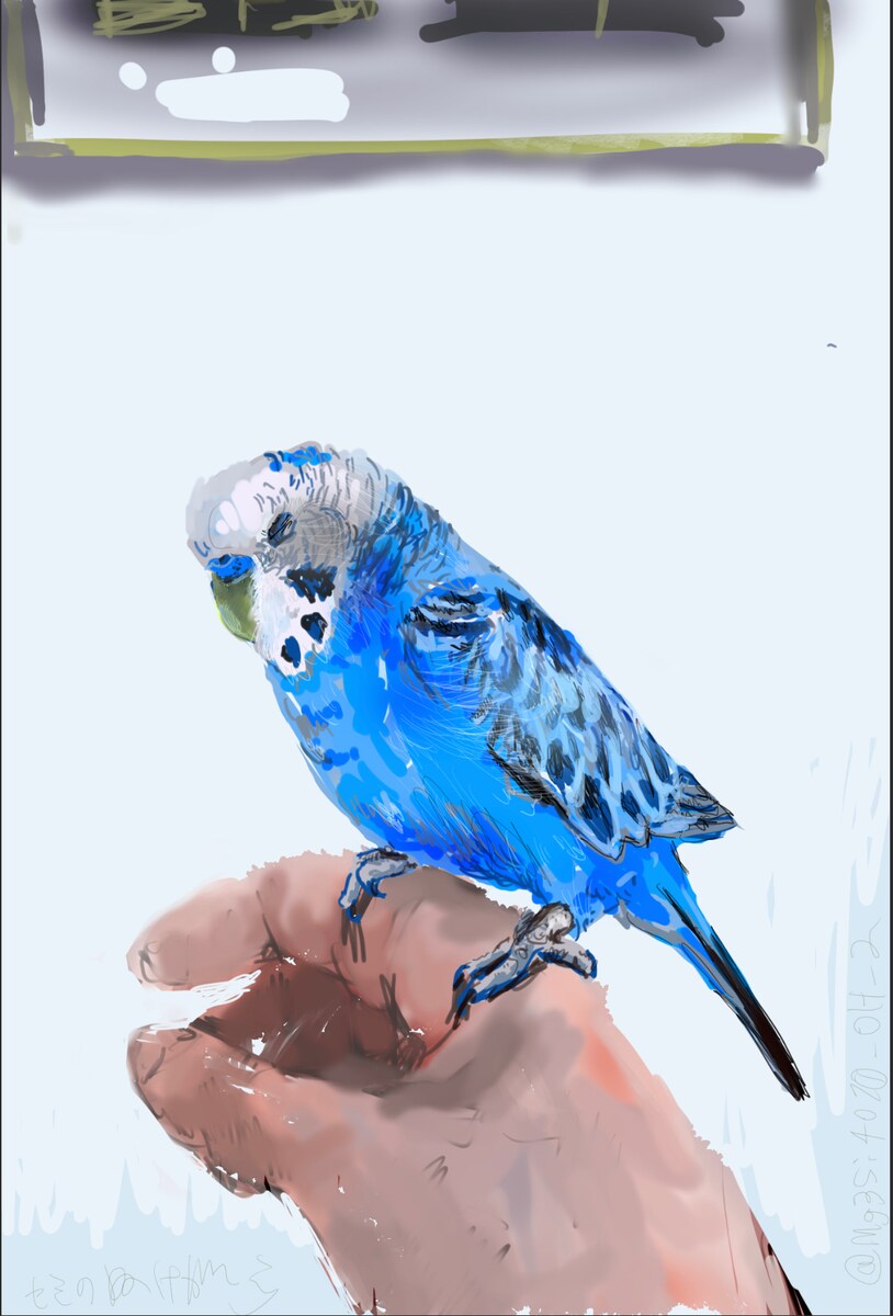セキセイインコの似顔絵イラスト制作します【A4サイズ】