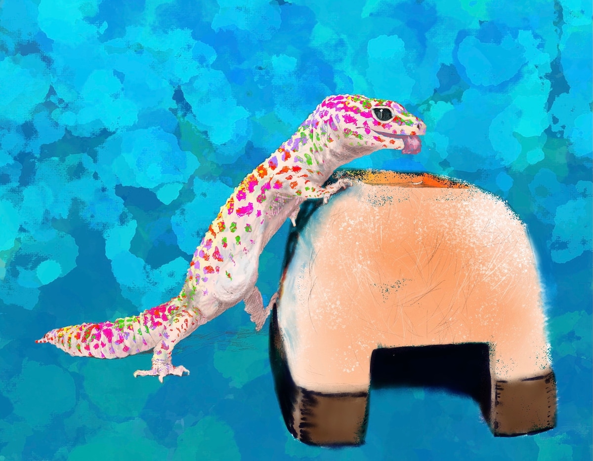 ヒョウモントカゲモドキ（レオパードゲッコー）の似顔絵 | しか