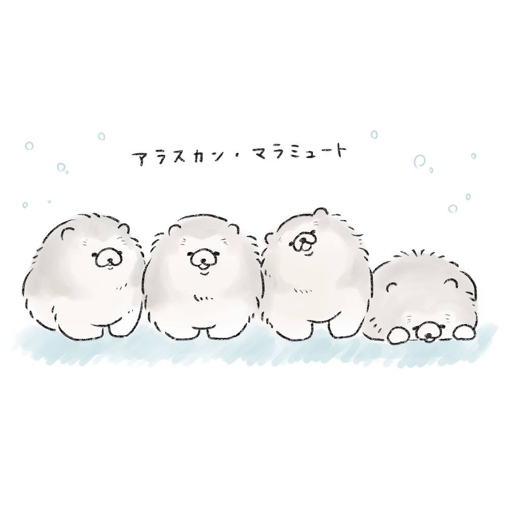 アラスカンマラミュート