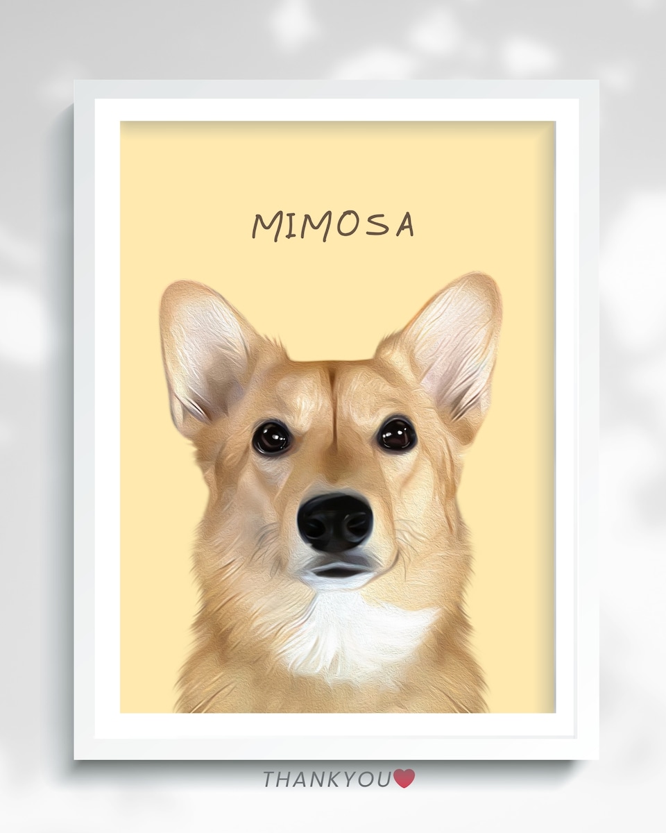 mimosaさん＊