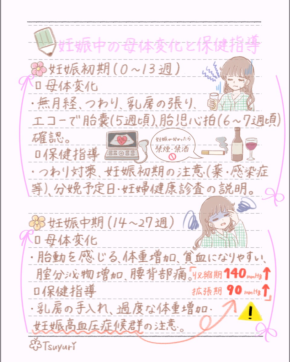 妊娠中の母体変化、保健指導①