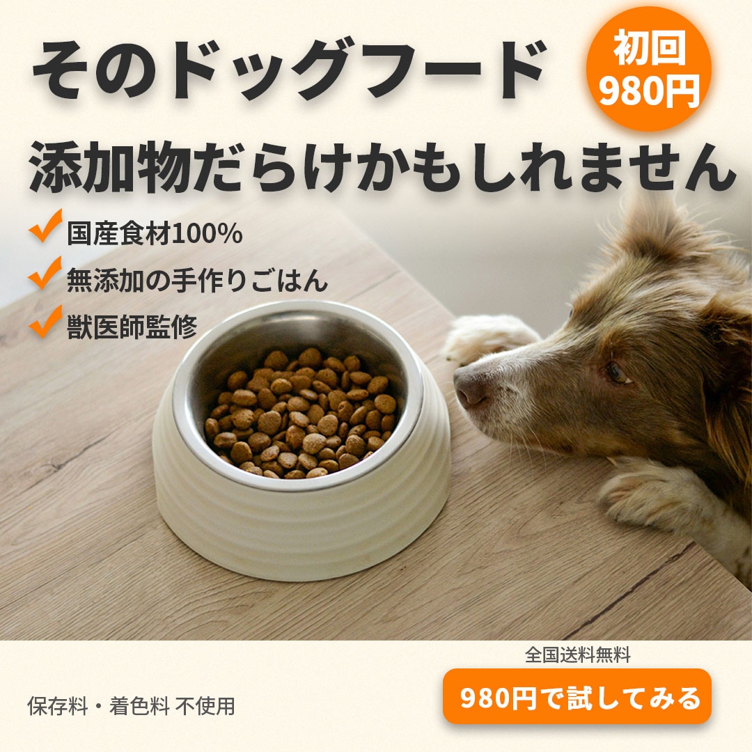 ペットフードの広告バナー