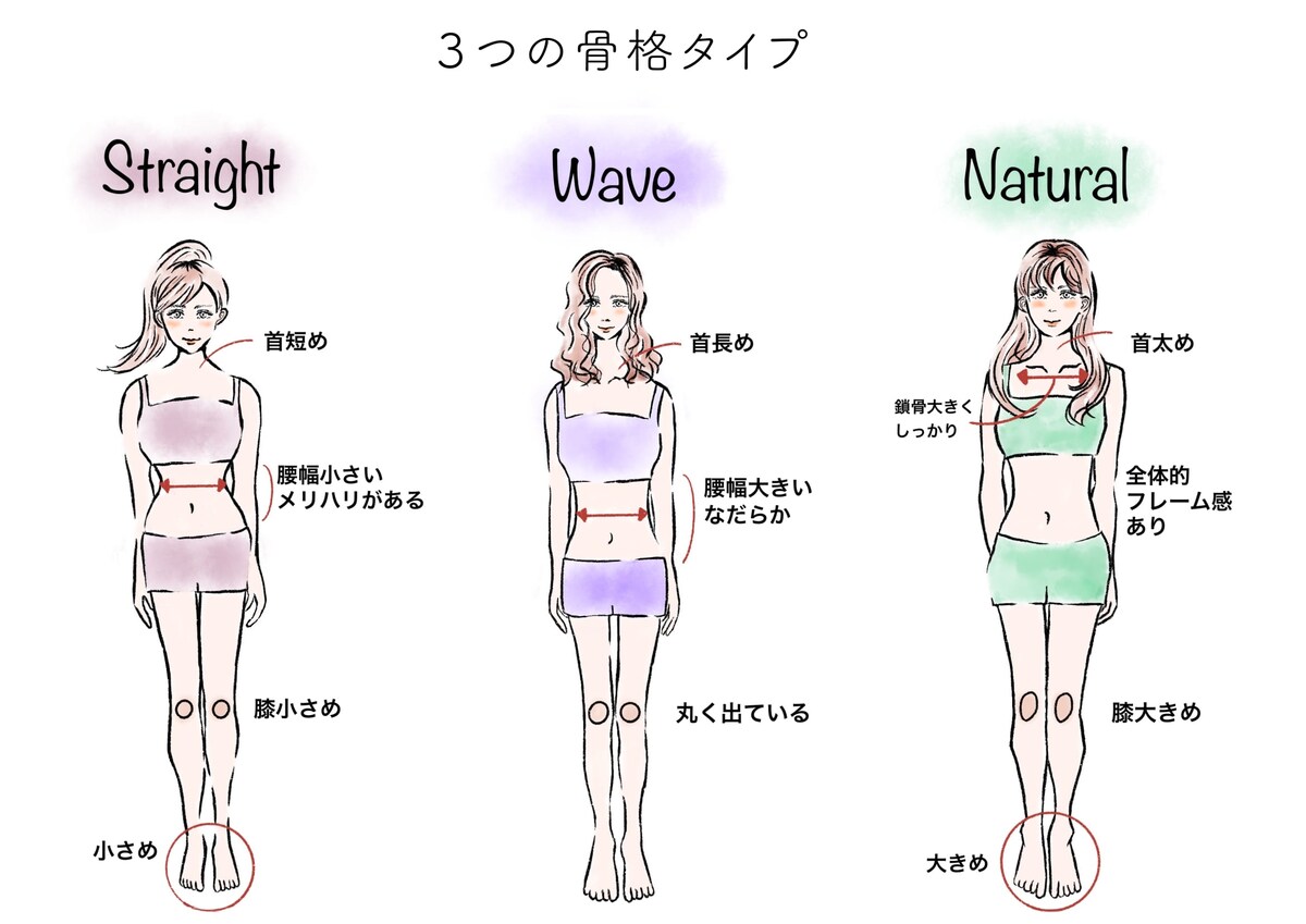 骨格タイプ