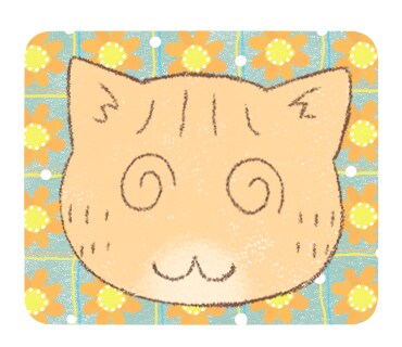 猫のしいたけ