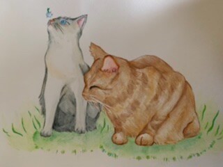 二匹の猫