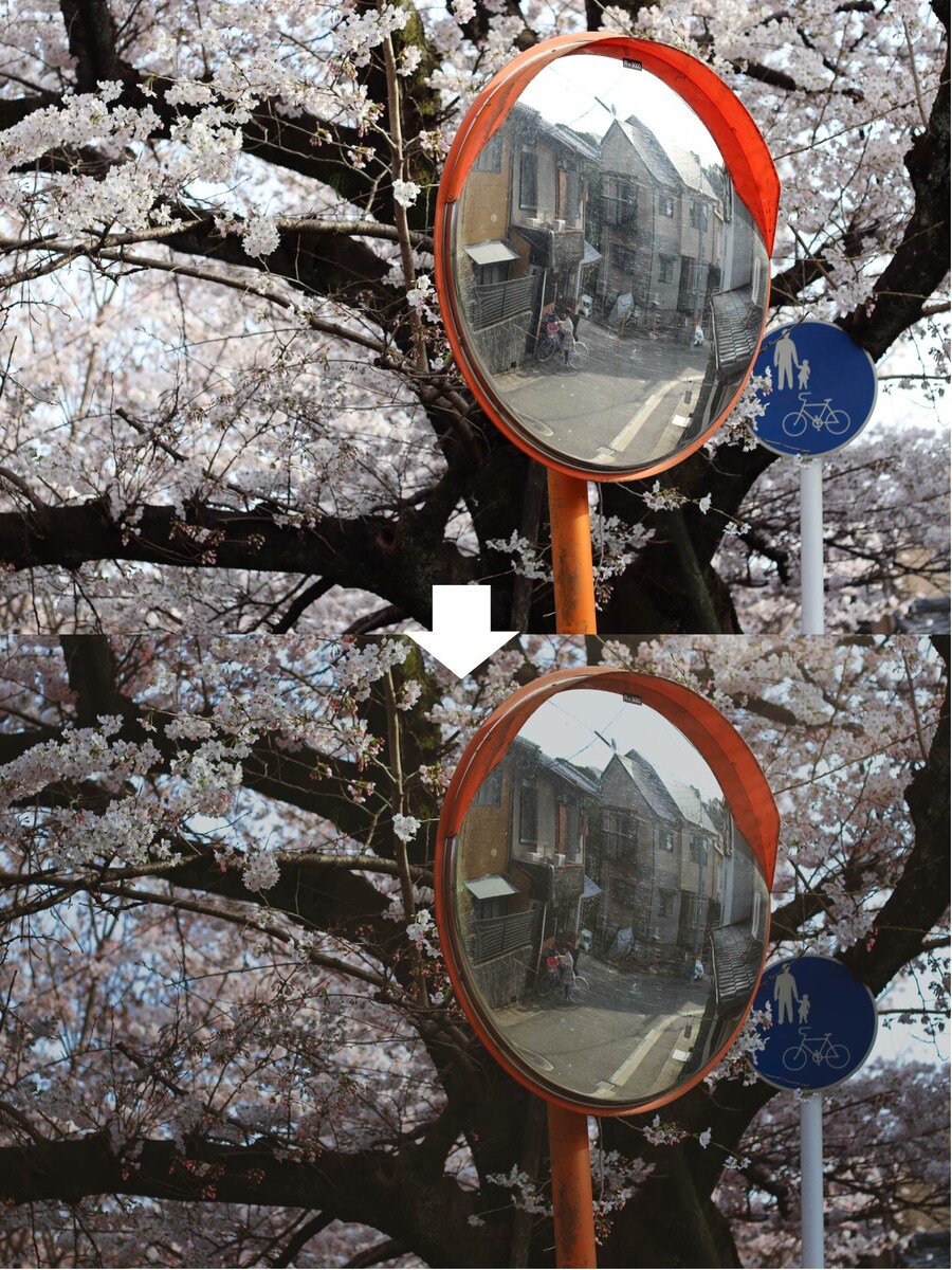 桜と鏡