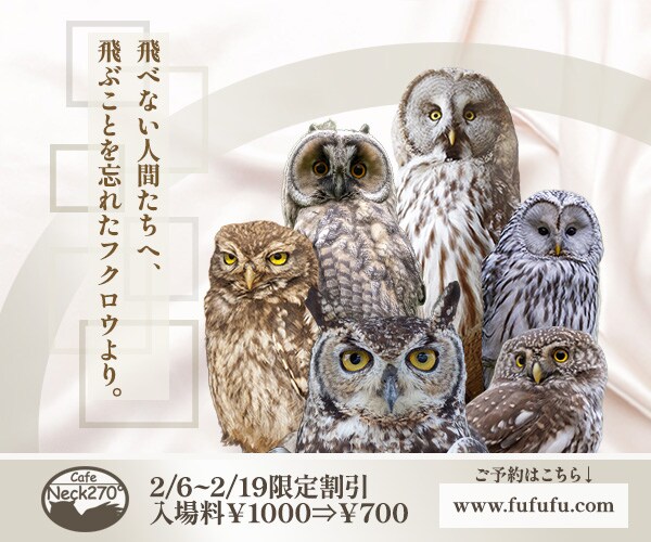 広告バナーデザイン