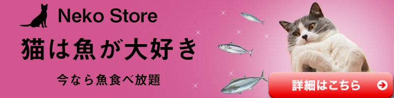 バナー作成　30分ほどで作成致しました。