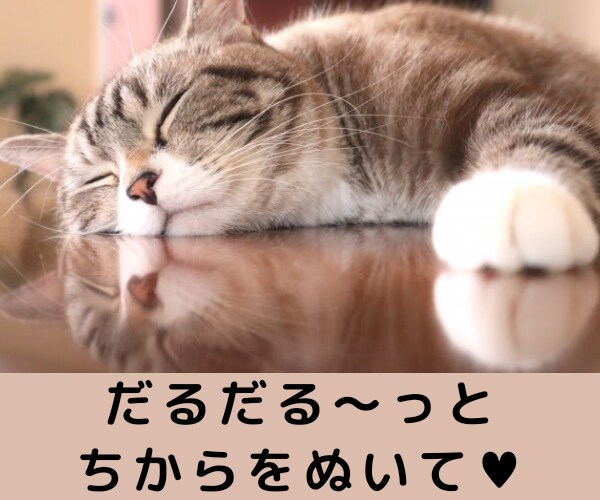 疲れた心、ゆるゆるほぐします♥