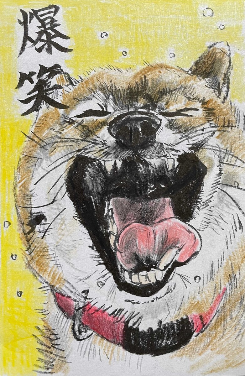 柴犬