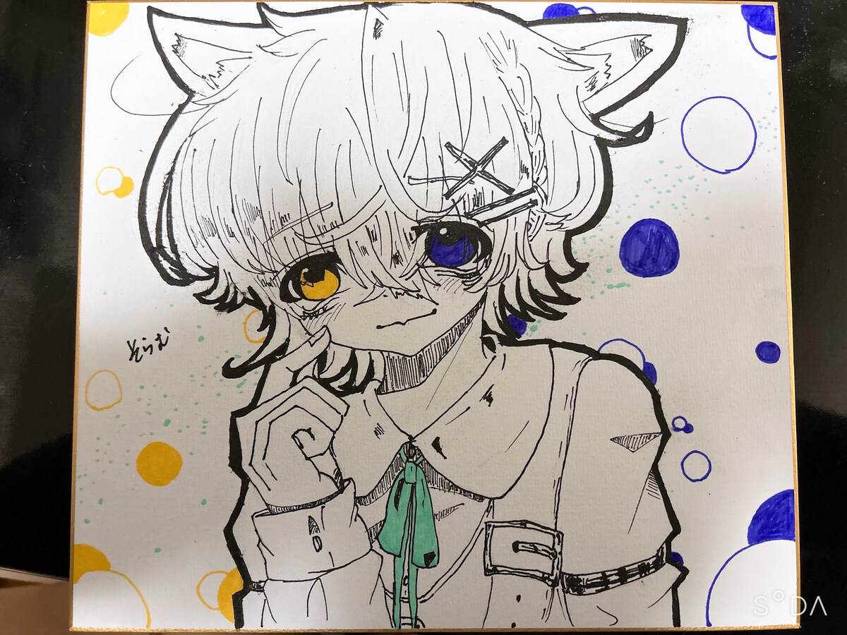 オッドアイくん